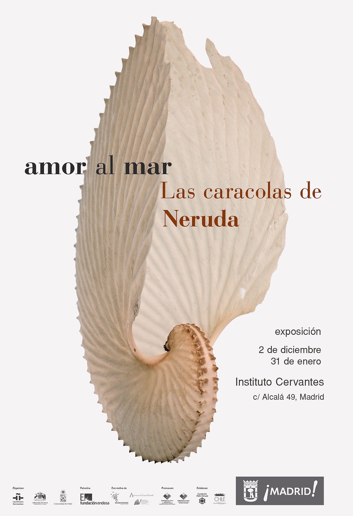 Caracolas de Neruda