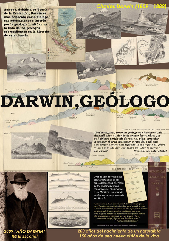 Darwin Gelogo