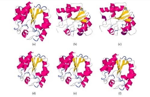 Reconstruccin de una proteina