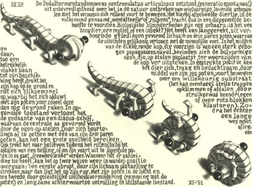 Escher. Animalillos rodantes