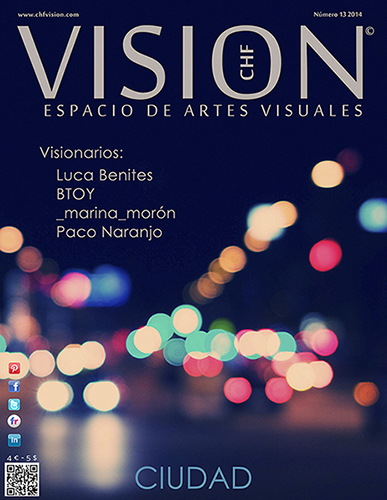VISION 13 2014