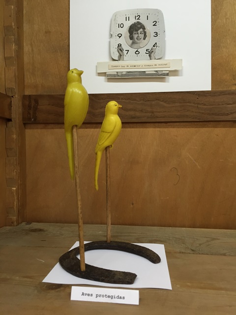 Aves protegidas. Arriba: Tiempos hay de acometer y tiempos de retirar