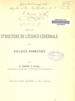 Dedicatoria