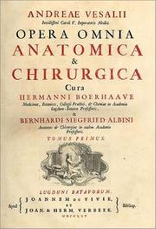 Cubierta