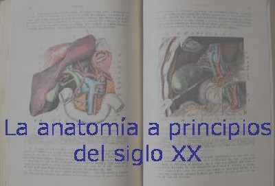El siglo XX