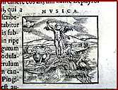 Ampliar imagen