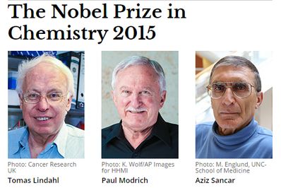 Premio Nobel de Qumica 2015