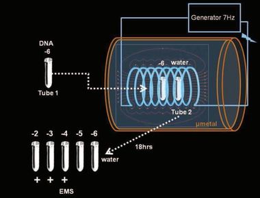 Se puede teletransportar el ADN? 