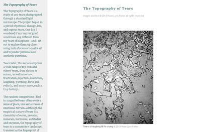 Topografa de las lgrimas: imgenes microscpicas 